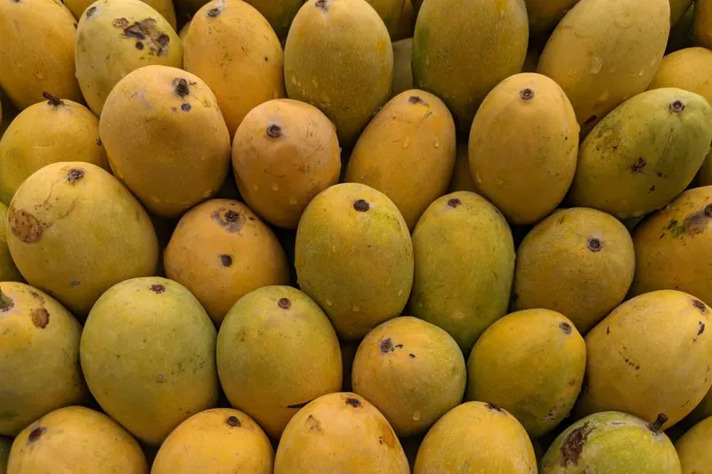 Aamras Recipe - Ripe Mango Ras — photo 2