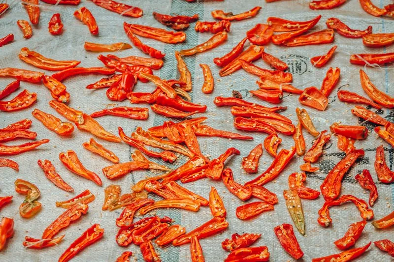 Rajasthani Style Dried Gatta Capsicum Vegetable Recipe