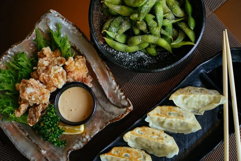 Crispy Chicken Dumplings Recipe