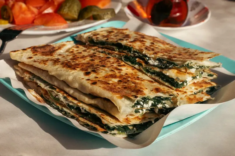 Turkish Chicken Gozleme Recipe-Stuffed Spinach Chicken Bread
