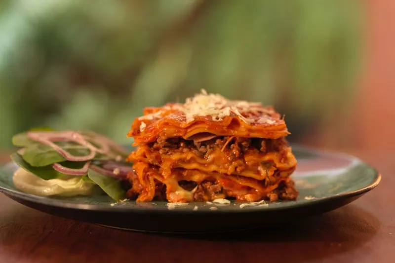Garfield's Lasagna Recipe With Minced Meat And Italian Spices — photo 2