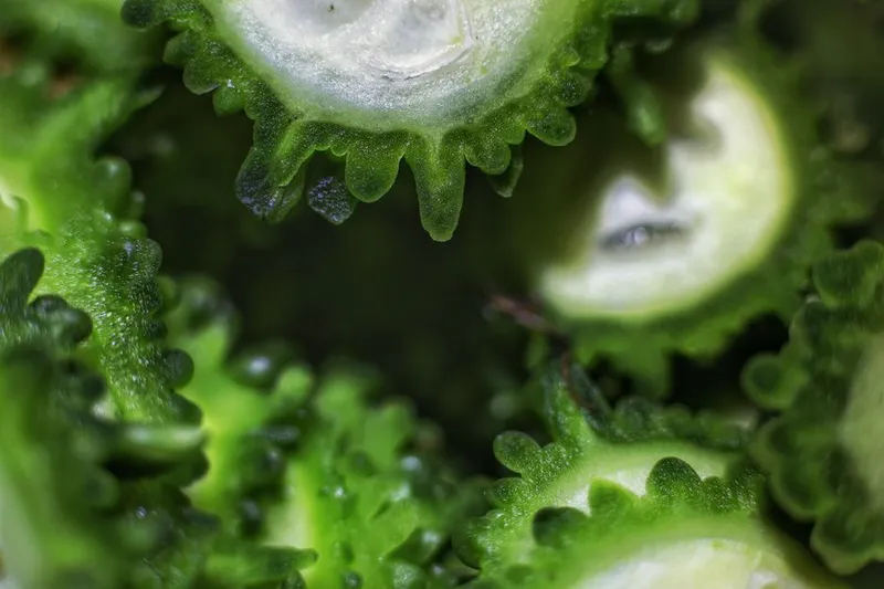 Pavakka Pachadi Recipe - Bitter Gourd Pachadi — photo 2