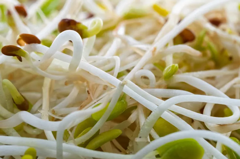 Mung Bean Sprouts Salad Recipe With Brussel Sprouts and Pomegranate
