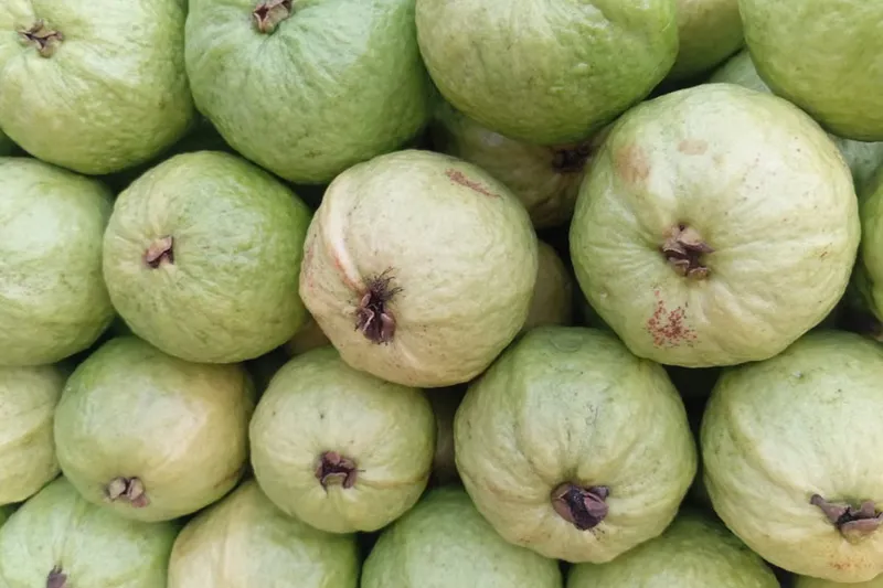 Amarod Wright Recipe - Guava Wright — photo 2