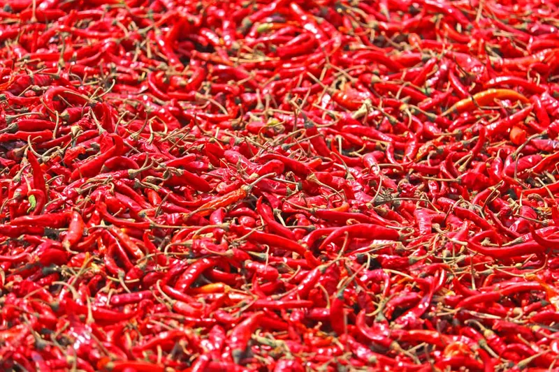 Mor Milagai Recipe - South Indian Sun Dried Chillies — photo 2