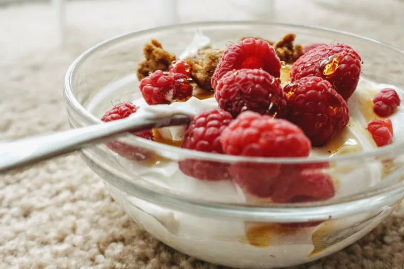 Homemade Low Fat Strawberry Frozen Yogurt Recipe — photo 2
