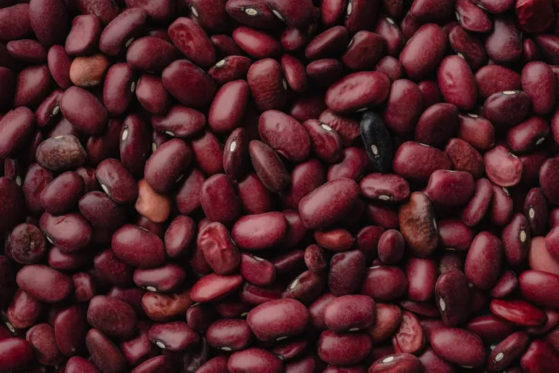 Mexican Style Sopa De Frijol Recipe - Red Kidney Beans Soup