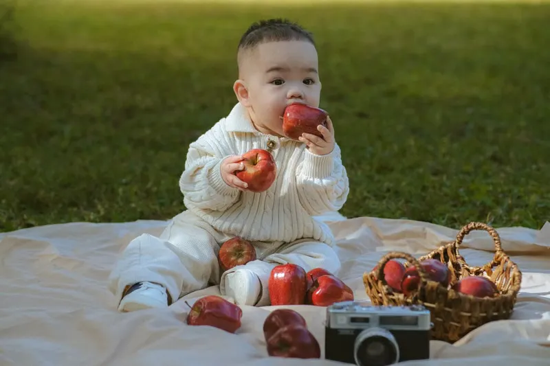 Apple Puree Recipe (Baby Food - 4 months onwards) — photo 2