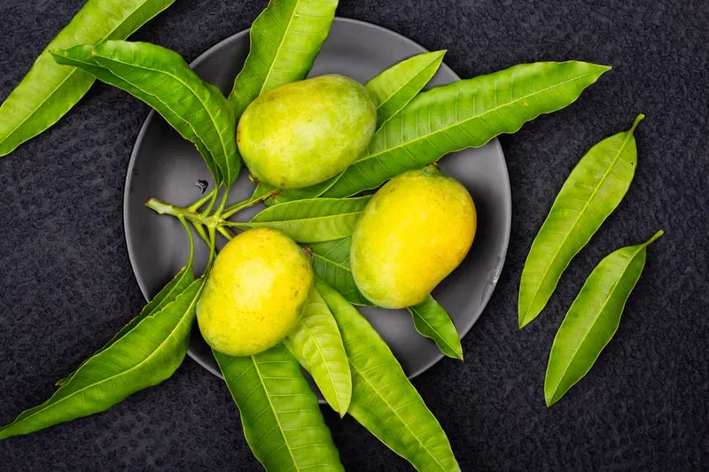 Mango Shikanji Recipe - Chatpata Mango Spritzer — photo 2