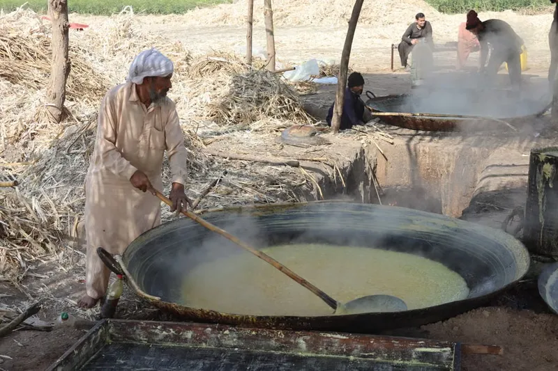 Sugarcane Kheer Recipe - Sugarcane Kheer Recipe — photo 2