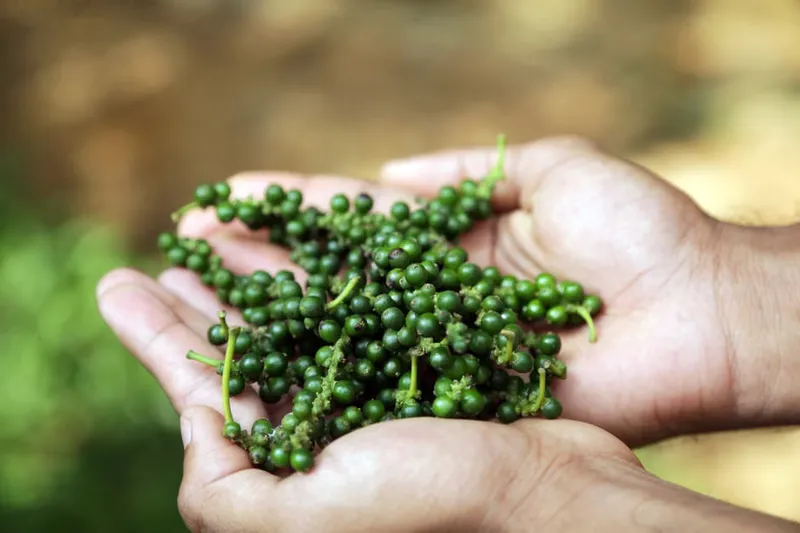 Cherupair Thoran Recipe - Kerala Steel Green Gram Vegetable
