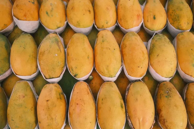 Mango Sago Kheer Recipe - Sabudana Kheer With Mangoes