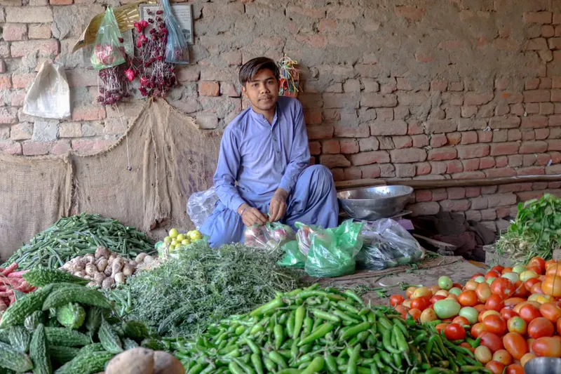 Bihari Bitter Gourd Potato Vegetable Recipe — photo 2
