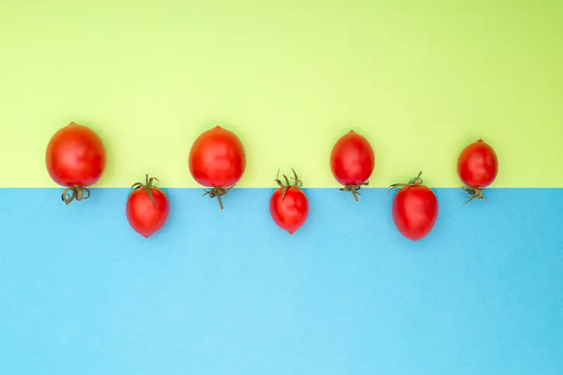 Tomato Onita d Kara