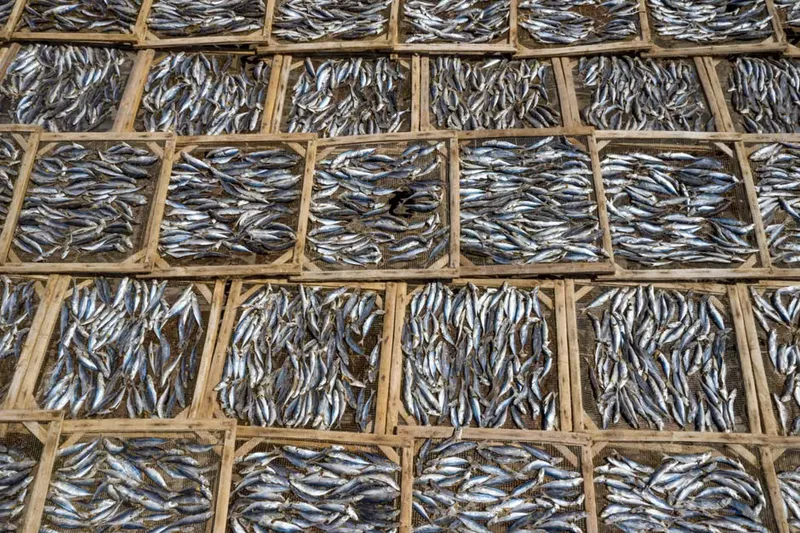 Tallyanche Suke Recipe - Sardine Dry