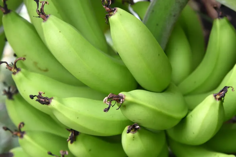 Raw Banana Thoran Recipe - Raw Banana Thoran (Recipe In Hindi) — photo 2