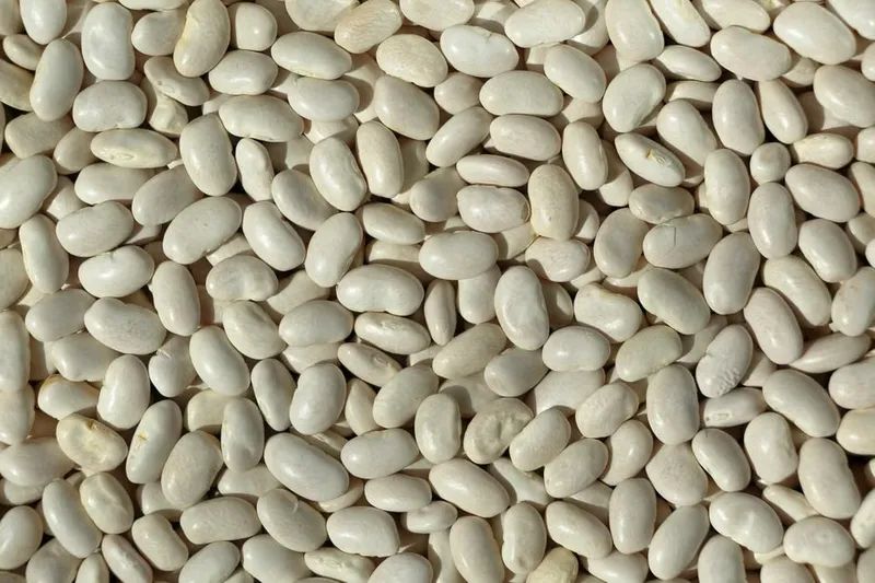Gan Bian Dou Jiao Recipe (Dry Fried Sichuan Haricot Beans)