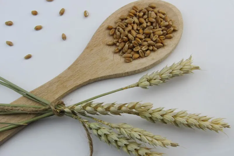 Jowar Atta Pyaz Thepla Recipe – Sorghum Wheat Onion Thepla — photo 2