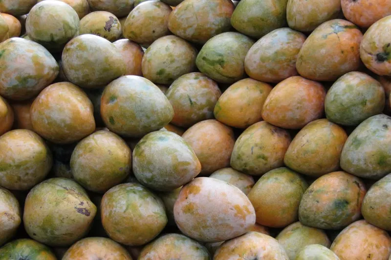 Aam Chunda Pickle Recipe - Gujarati Mango Chunda Recipe — photo 2