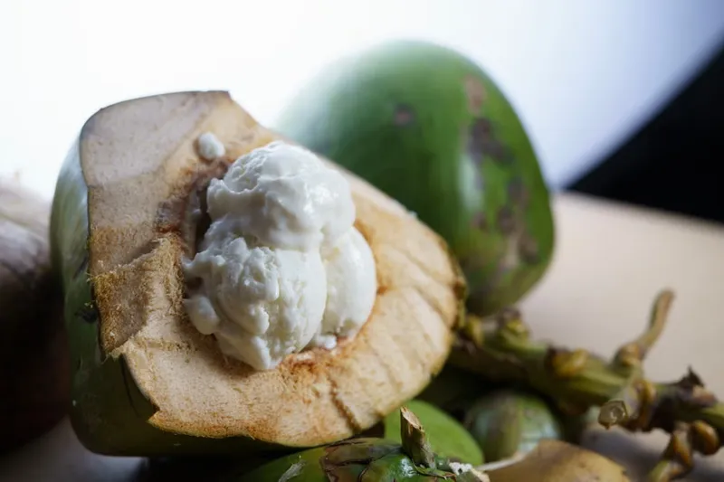 Vegan Jackfruit Ice Cream Recipe With Coconut Milk — photo 2