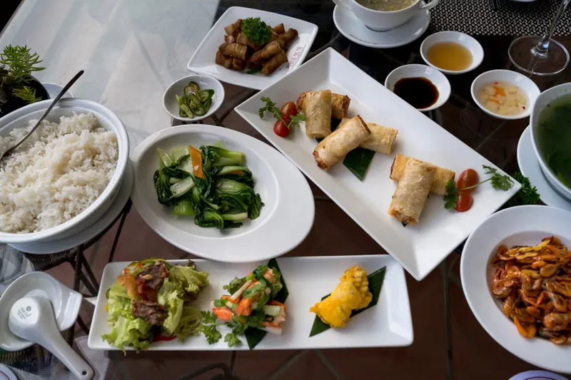 Soya Spring Rolls Recipe