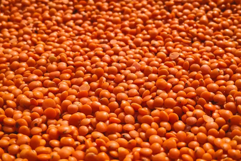 Masoor Moong Phali Ki Dal Recipe (Masoor Dal With Peanuts Recipe) — photo 2