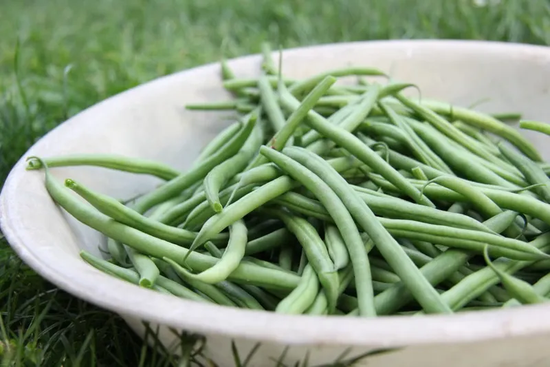 Buttered Green Beans Recipe - Finger Food for Toddlers — photo 2