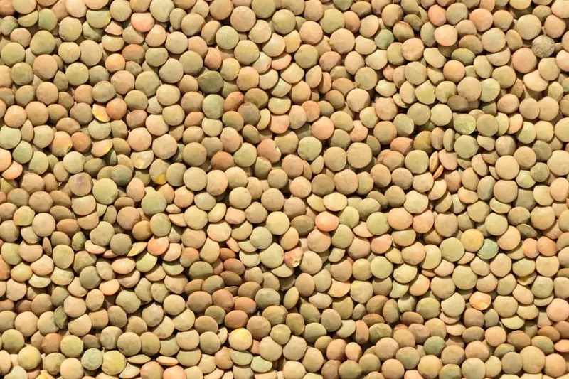 Green Beans Lentil Usili Recipe - Iyengar Style — photo 2