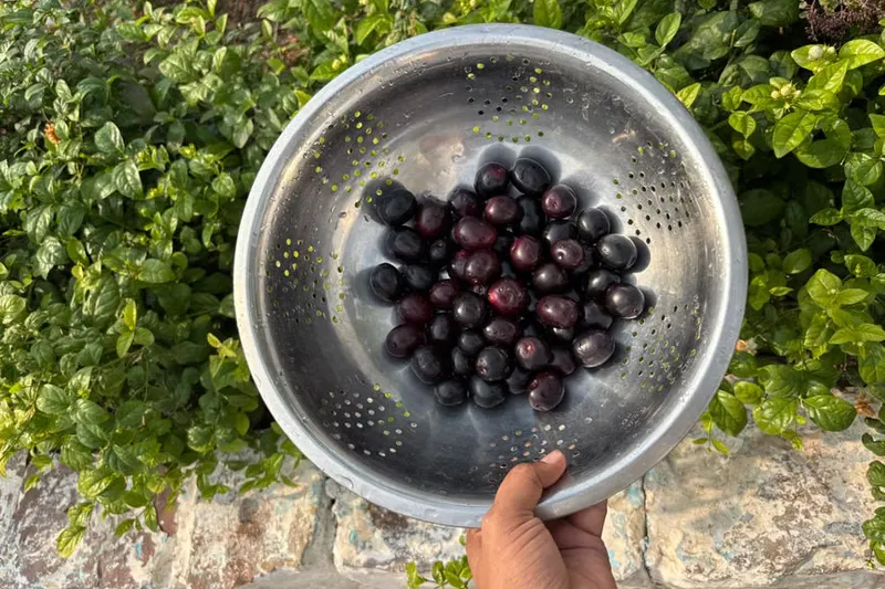 Healthy & Delicious Jamun Fruit Smoothie - Black Plum Smoothie Recipe