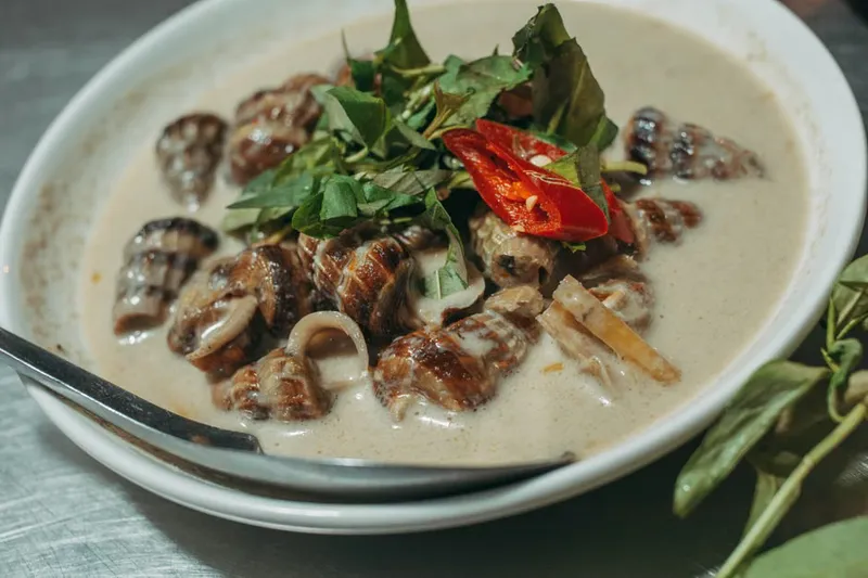 Homemade Coconut Milk Recipe — photo 2