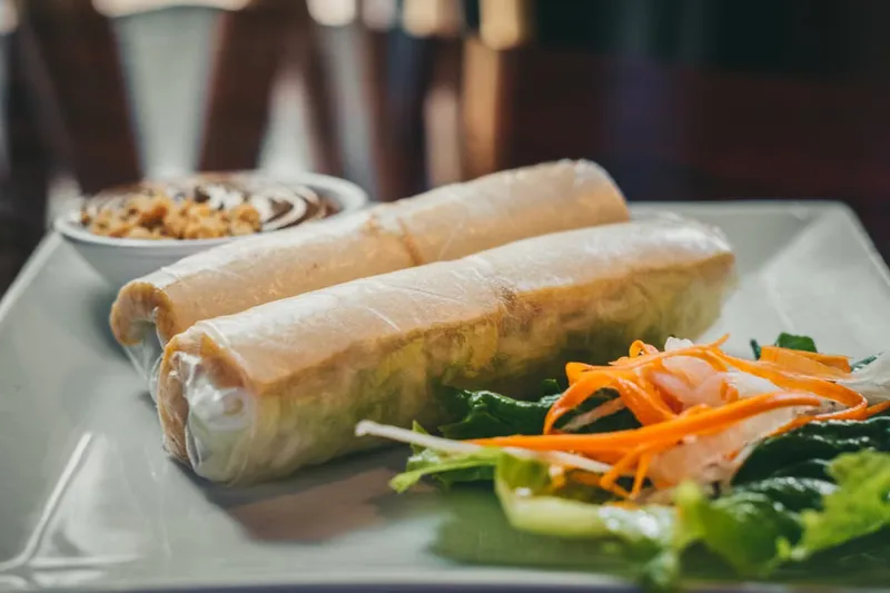 Vegetable Spring Rolls Recipe — photo 2