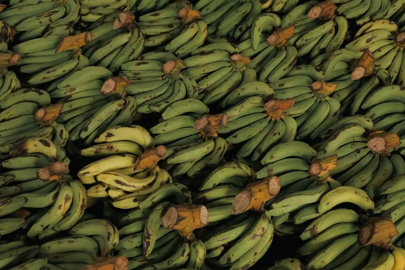 Kaya Tholi Thoran Recipe (Raw Banana Thoran)