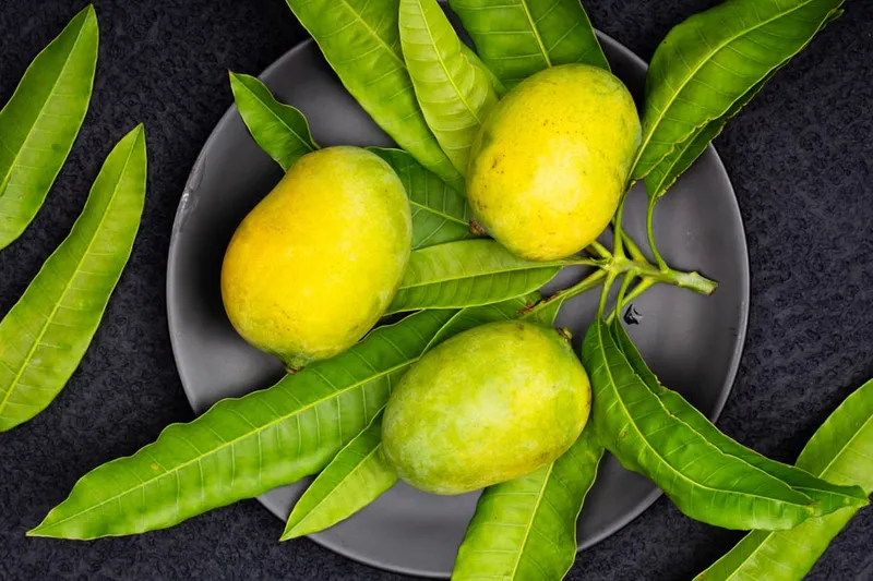 Manga Rasam Recipe - Raw Mango Rasam Recipe — photo 2
