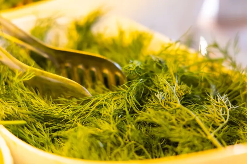 Dill Idle Recipe (Dill Leaves Idli) — photo 2