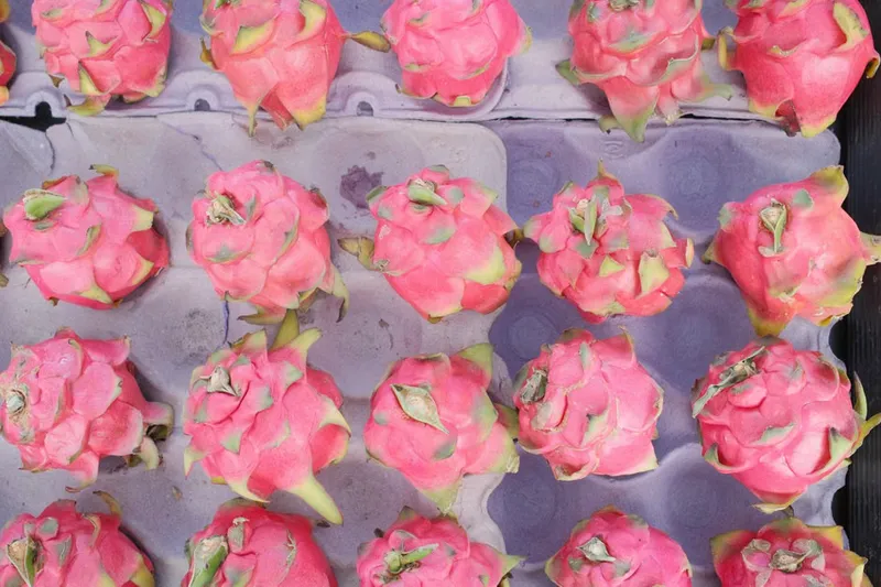 Pink Dragon Fruit Kesari Recipe (Sooji Halwa with Dragon fruit)