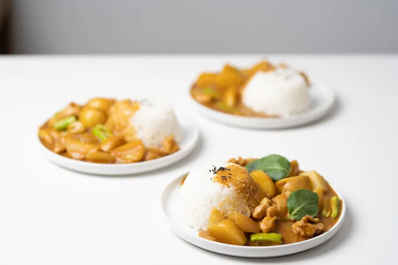 Vietnamese Chicken & Potato Curry Recipe — photo 2